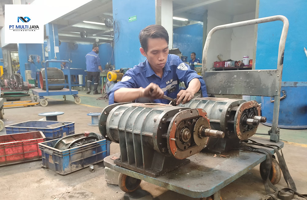 Service Roots Blower
